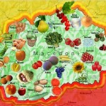 Македония клад здорового питания